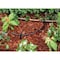 Rain Birdoratio Rain Bird Plastic Drip Irrigation Tubing 1/4 in. D X 100 ft. L T22-100S - alternate 2